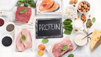 Tầm Quan Trọng của Protein và Nguồn Thực Phẩm Chứa Protein