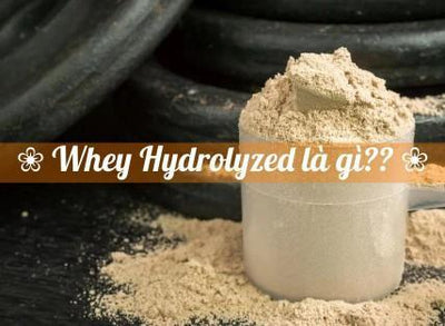 WHEY HYDROLYZED LÀ GÌ VÀ NHỮNG ĐIỀU ĐẶC BIỆT VỀ LOẠI WHEY NÀY